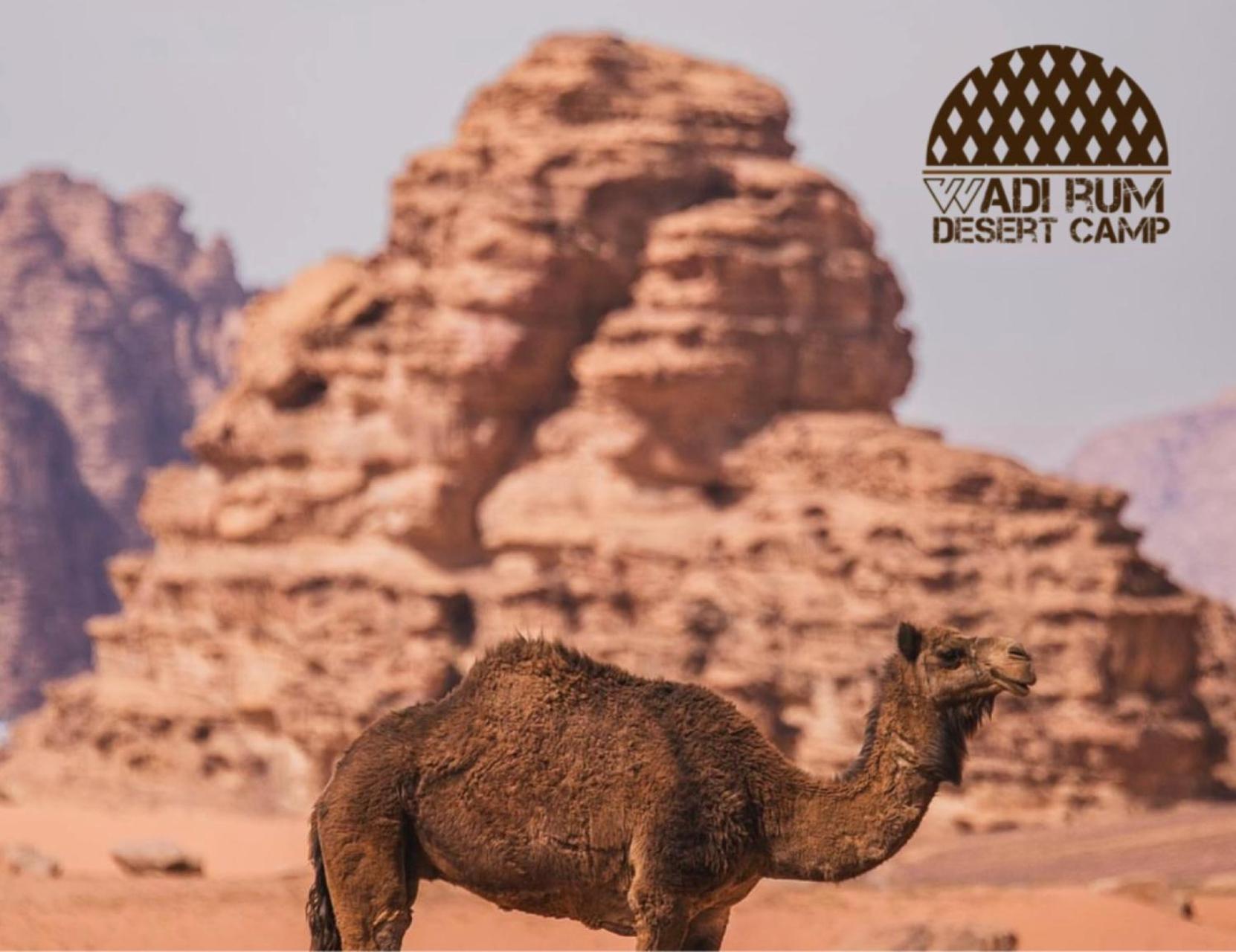 Rum Mere Luxury Camp Wadi Rum Luaran gambar